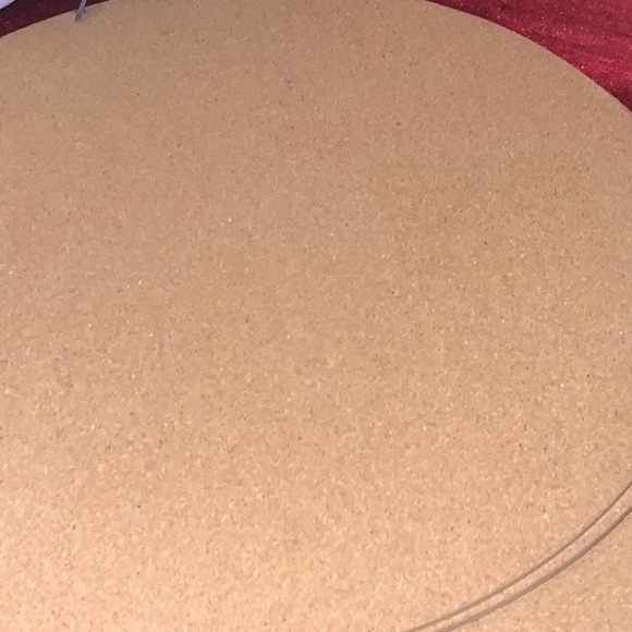 4/$20 Flowers Cork placemats & cushions - Picture 2 of 9